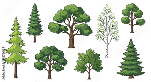 Diverse collection of stylized trees, including conifers and deciduous varieties, isolated on white.