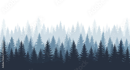 Misty Forest Landscape, Blue Evergreen Trees Silhouette, Foggy Woodland Background