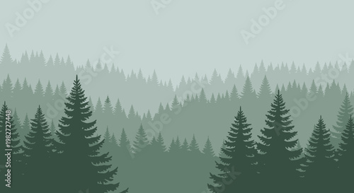 Misty Forest Landscape: Evergreen Trees in Hazy Mountain Scenery