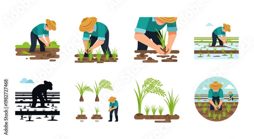 Farming Scene Collage: Rice Planting, Cultivation, Rural Agriculture, Farmer at Work