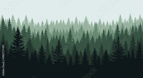 Misty Forest Landscape: Dense Evergreen Trees in Layers, Foggy Background