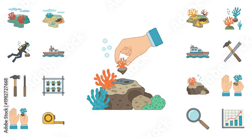 Coral Reef Restoration: Hand Planting Coral, Diver, Boat, Tools, Underwater Life