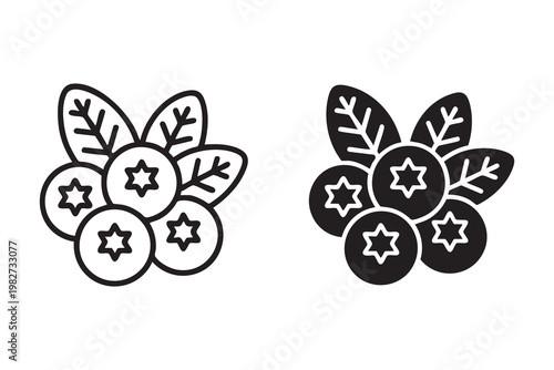 Blueberry Icon Set Outline and Solid Styles for Healthy Food Design