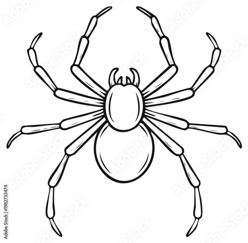 Line art illustration of a spider with outstretched legs, top view, insect graphic