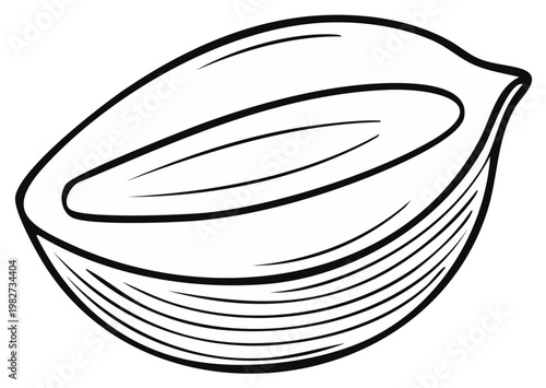 Simple Half Coconut Outline Drawing Illustration Tropical Fruit Food Ingredient