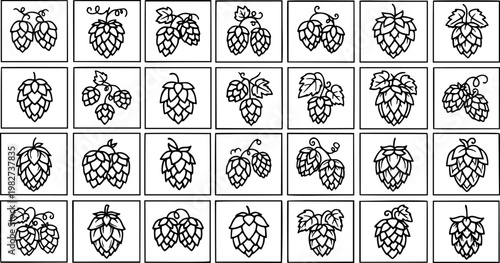 Black and White Line Art Hop Cones - Food, Beverage  Brewing Ingredient Illustration