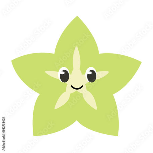 Vector graphic icon for Starfruit