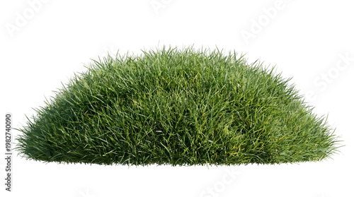 Grass Realistic 3D Render of Vibrant Green Turf - botanical, organic, environment, vegetation, ecology