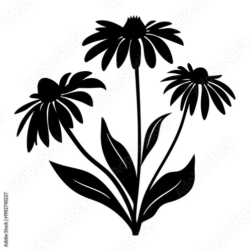 Echinacea flower silhouette vector, black coneflower botanical illustration, medicinal herb plant icon for herbal medicine and garden design