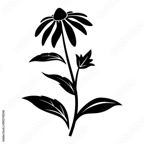 Echinacea flower silhouette vector, black coneflower botanical illustration, minimalist floral plant icon isolated on white background