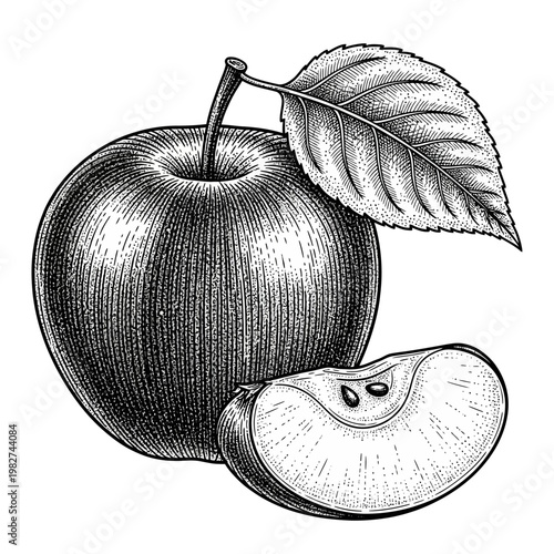 Vintage Apple Illustration: Whole Fruit with Leaf and Slice