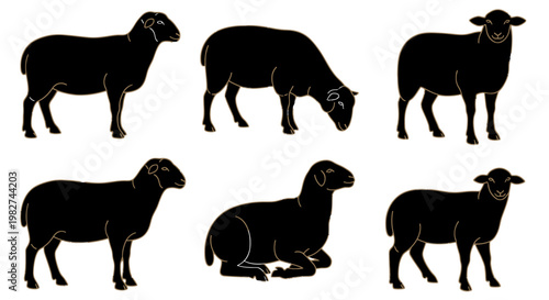 Set of Six Black Sheep Silhouettes Isolated on White Background - Standing and Lying
