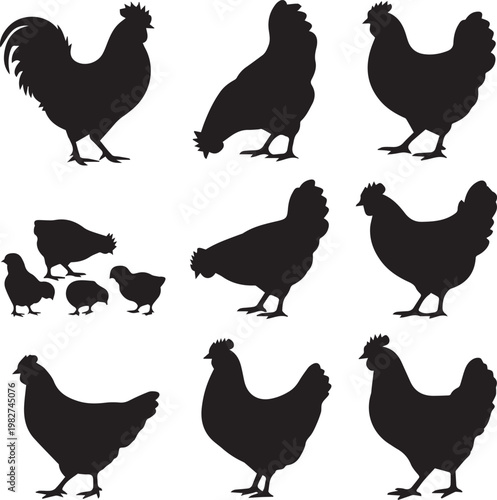 Chicken Silhouette Vector Set - Hen, Rooster, and Chicks Farm Animal Icons
