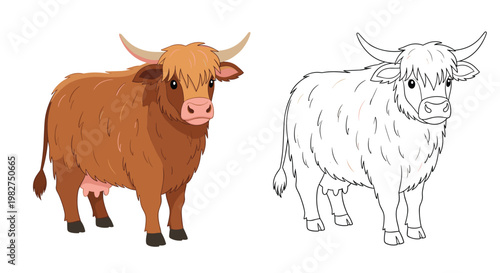 Brown highland cow illustration shown in both full color and black and white line art for coloring activities and educational use.