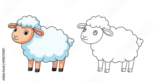 Fluffy white sheep shown in a full-color cartoon style alongside a black and white line art version for coloring and educational tasks.