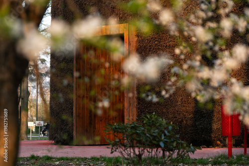 Wiosenny park  w Czechowice Dziedzice z kwitnącymi drzewami i ciepłym światłem słonecznym