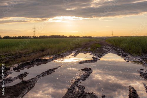 Εκτύπωση καμβά Landscape view of muddy farm road with puddles reflecting sunset sky and power l
