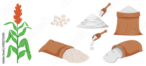 Sorghum grain, cereal products, and crops harvested in jute bags. flour, grain pile collection