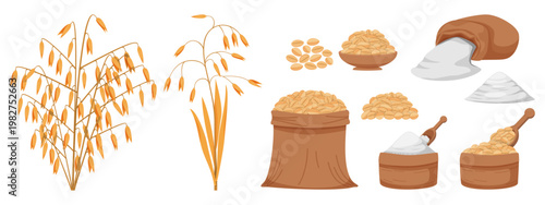Oat grains collected in jute bags, cereal products, and crops harvested. flour, grain pile