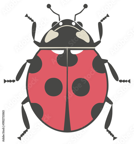 Red Ladybug Insect with Black Spots Top View Simple Cartoon Illustration