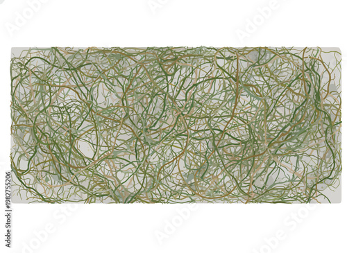Green, scribbles, lines, tangled, mess isolated on White Background