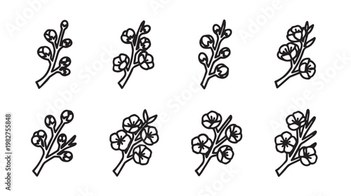 Set of eight minimalist line art botanical sprigs with delicate flowers and buds isolated on white