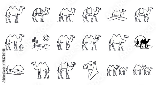 Camel Icon Set: Desert Animals, Caravan, Silhouette, Vector Line Art