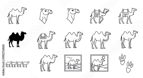 Camel Icon Set: Diverse Line Art and Silhouette Illustrations of Dromedary Camels