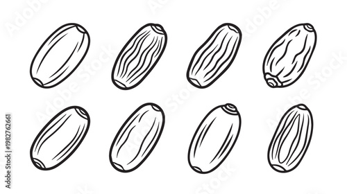 Set of fresh dates hand-drawn vector illustration isolated on white background