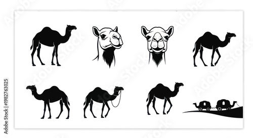 Camel Silhouettes Collection: Desert Animals, Wildlife, Africa, Middle East, Journey