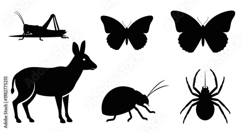 Diverse Animal and Insect Silhouettes Collection on White Background