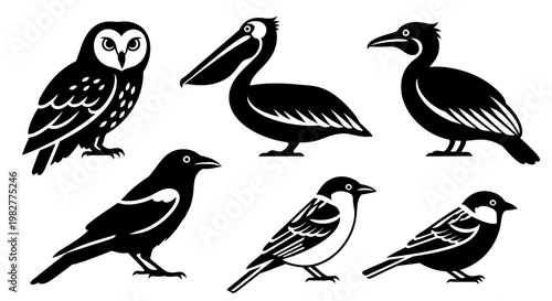 Diverse Bird Silhouettes Collection - Owl, Pelican, Crow, and Songbirds Vector Icons