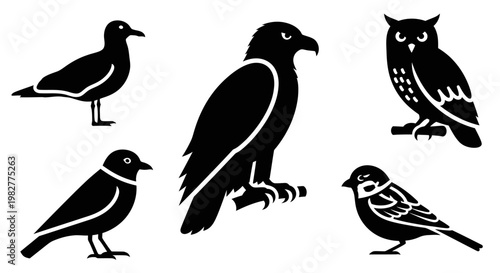 Diverse Bird Silhouettes Collection: Eagle, Owl, Seagull, and Small Birds Icons