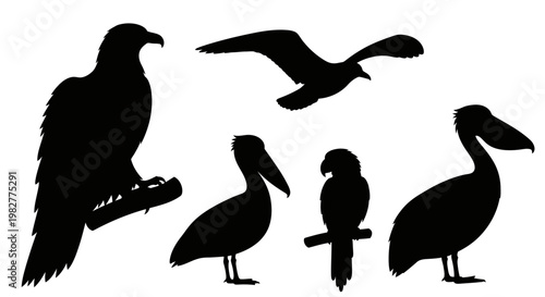 Diverse Bird Silhouettes Collection: Eagle, Pelican, Seagull, and Parrot Outlines