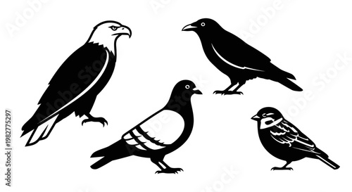Diverse Bird Silhouettes Collection: Eagle, Crow, Pigeon, and Sparrow Illustrations