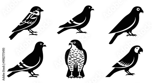 Diverse Bird Silhouettes Set: Vector Icons of Sparrow, Pigeon, Falcon, and Parrot