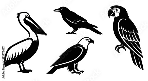 Diverse bird silhouettes vector set: pelican, raven, eagle, and parrot graphic illustration