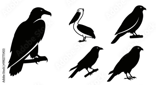 Diverse Bird Silhouettes Vector Collection on White Background