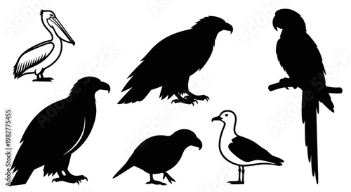 Diverse Bird Species Silhouettes and Outlines Collection
