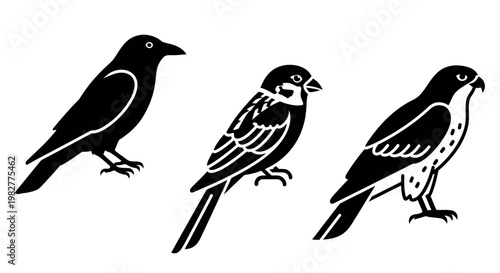 Diverse Bird Species Silhouettes: Crow, Sparrow, and Hawk Graphic Illustration