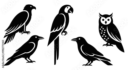 Diverse black bird silhouettes: eagle, parrot, owl, and raven vector set