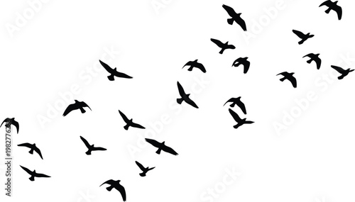 Flock of birds in flight silhouette a dynamic aerial display