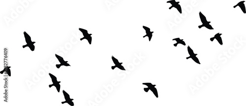 Flock of birds in flight silhouette a minimalist natural scene