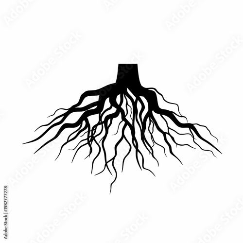 Cuadro en lienzo Tree root silhouette on a white background