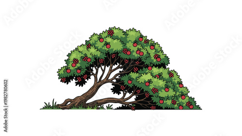 Lush green apple tree with sprawling branches and many ripe red fruits growing on a small patch of grass in a detailed vector illustration.