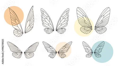 Obraz Collection of six pairs of delicate butterfly or fairy wings in different styles and shapes, decorated with colorful circular accents.
