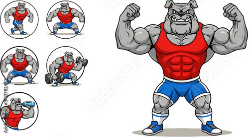 Muscular bulldog mascot character set, 6 fitness gym vector illustrations, strong bodybuilder dog in red tank top and blue shorts, athletic powerlifting animal