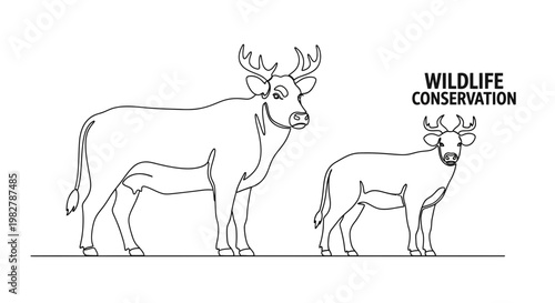 Two deer standing side by side.