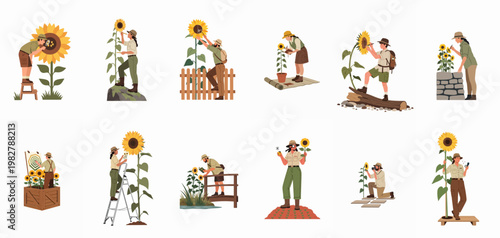 Collection of diverse explorers and botanists studying sunflowers in various outdoor scenes using magnifying glasses, notebooks, and cameras for nature observation.