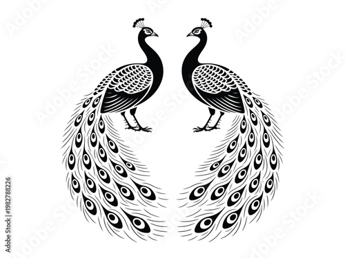 Elegant black and white illustration of two peacocks with fanned tails